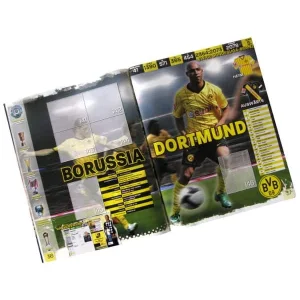 Panini Fußball Bundesliga 2008-2009 Sammelalbum 11