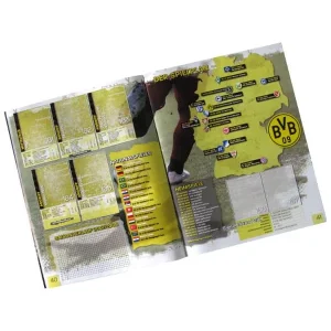 Panini Fußball Bundesliga 2008-2009 Sammelalbum 13