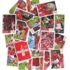 Panini Euro 2008 Schweizer Edition – Alle Sticker + Album 7