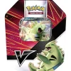 The Pokemon Company International Pokemon Despotar-V Tin Box Sommer 2021 (DE) 7